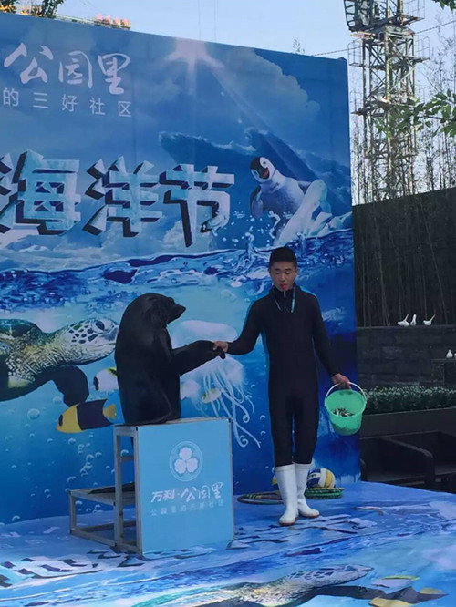 企鹅租赁伍家岗区